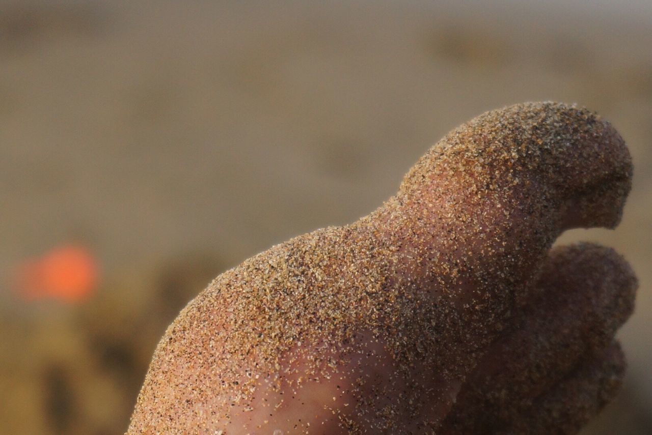 Cropped image of leg covered with sand