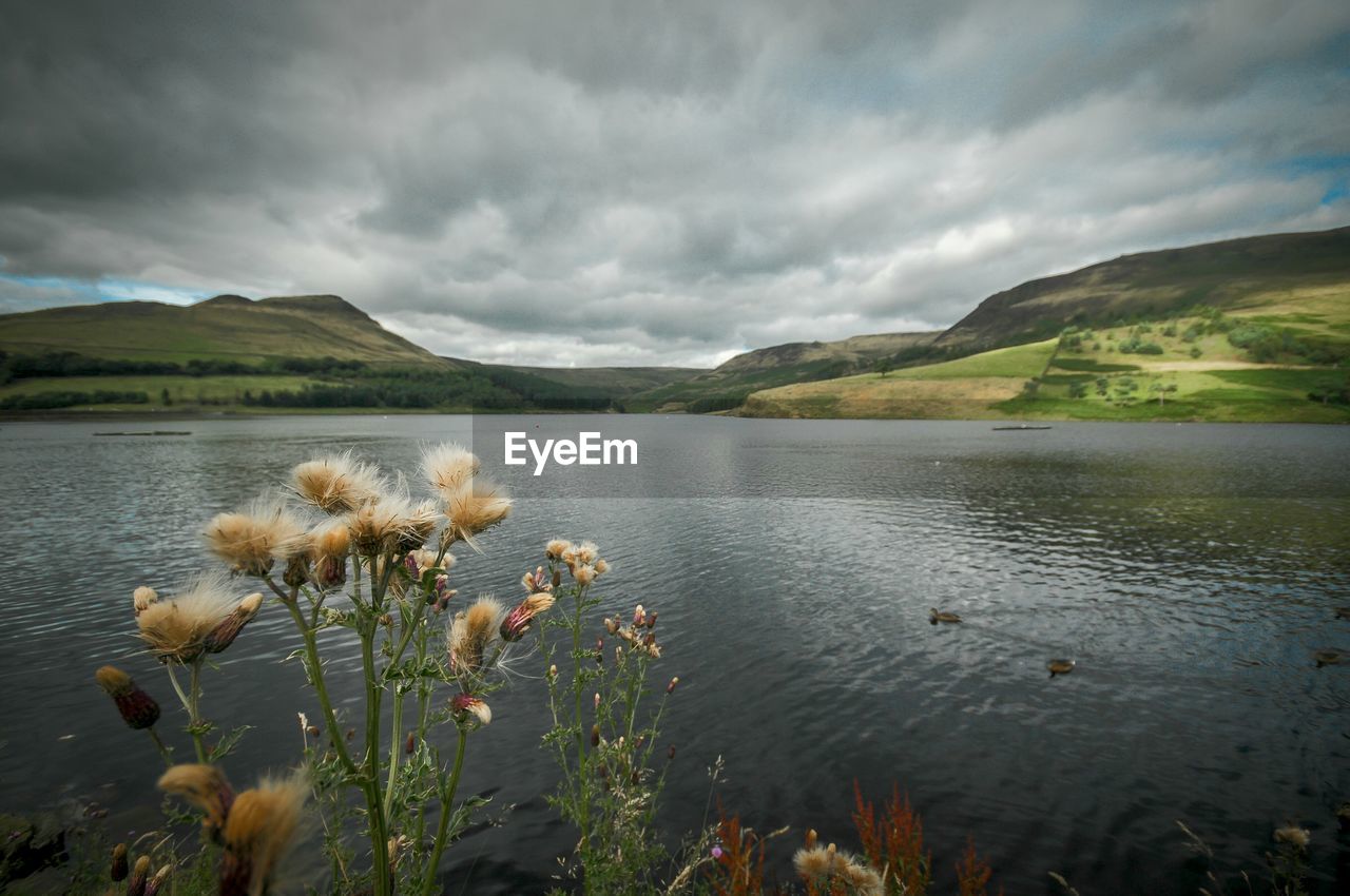 SCENIC VIEW OF LAKE BY MOUNTAIN AGAINST SKY