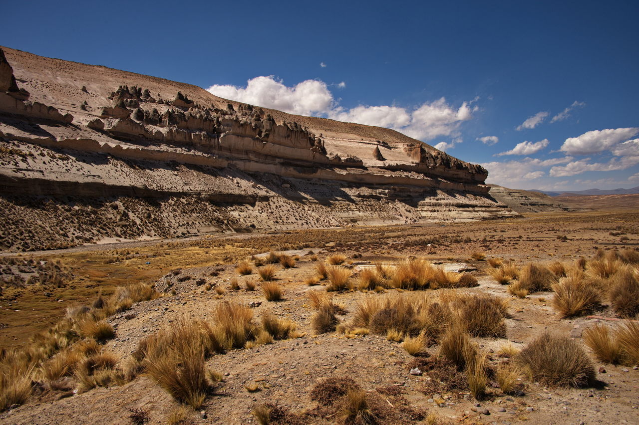 High plain of patahuasi, peru with its gorgeous sandstones. elevation of 4000 m