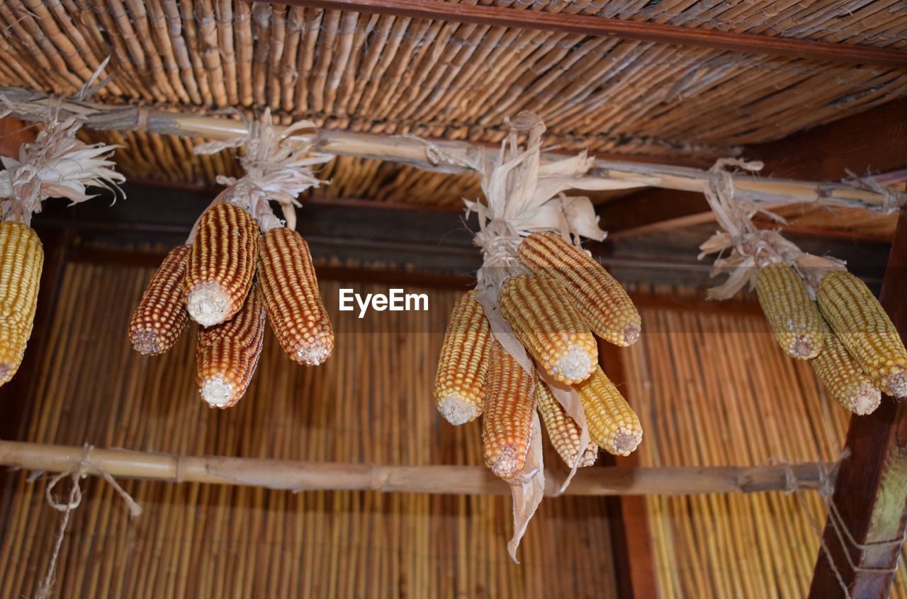 Low angle view of lanterns hanging on roof