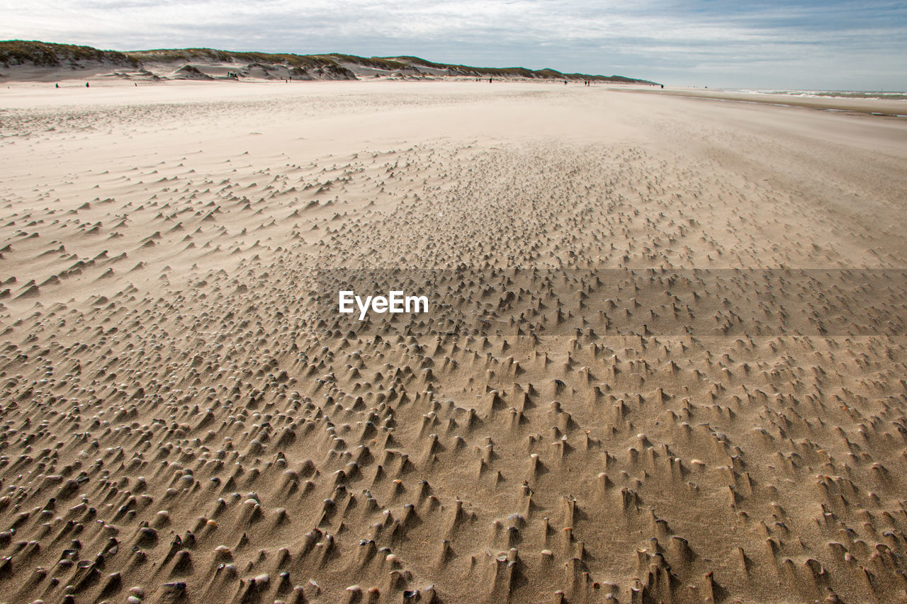 SCENIC VIEW OF SAND DUNE ON BEACH