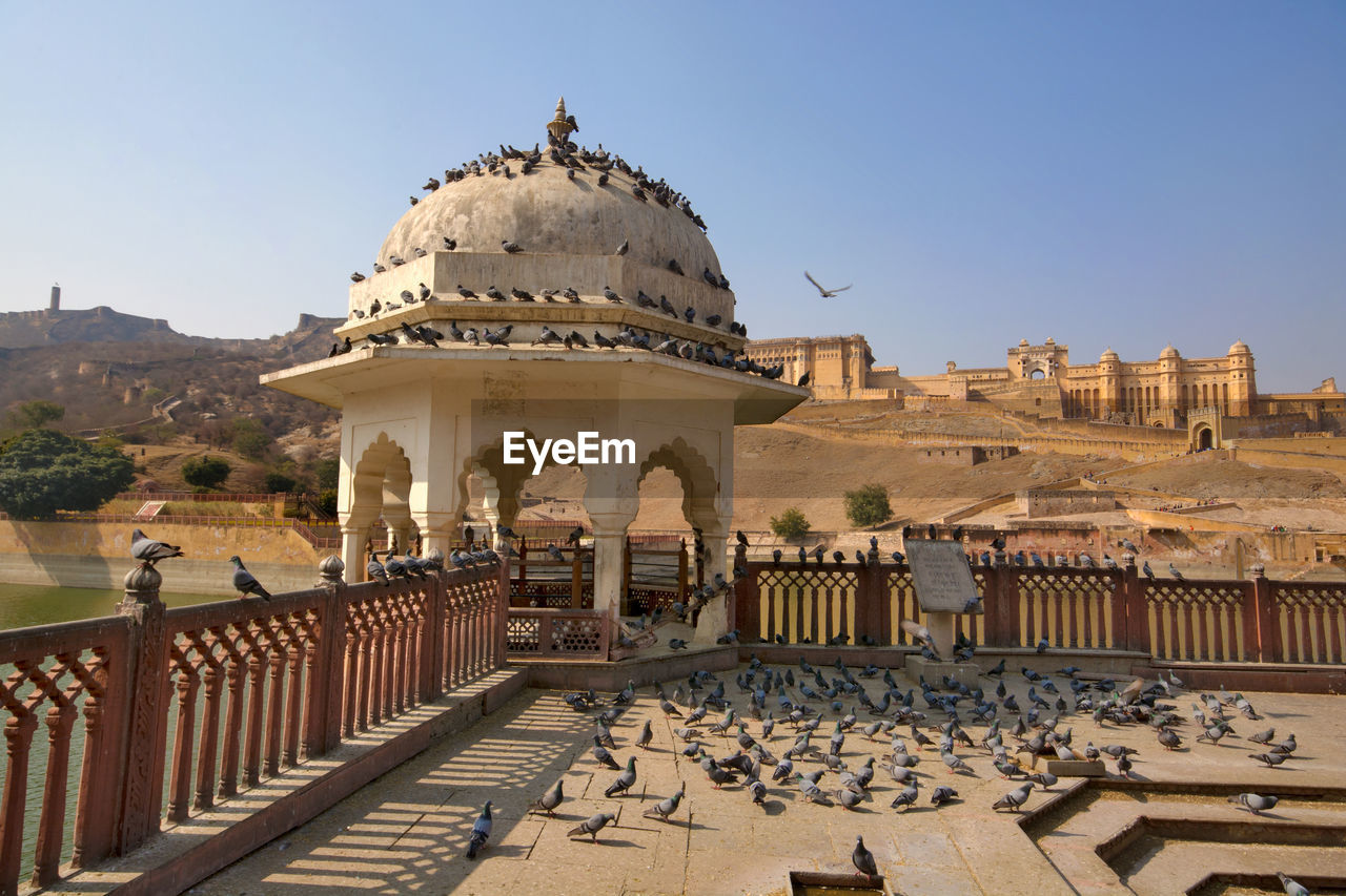 View of amber fort