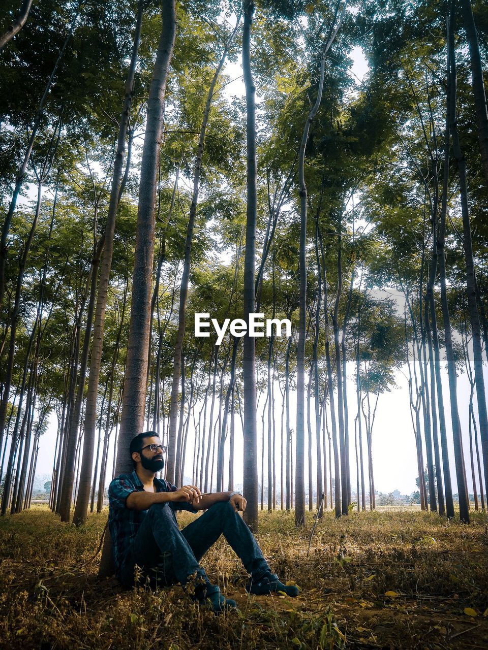 Man sitting in forest