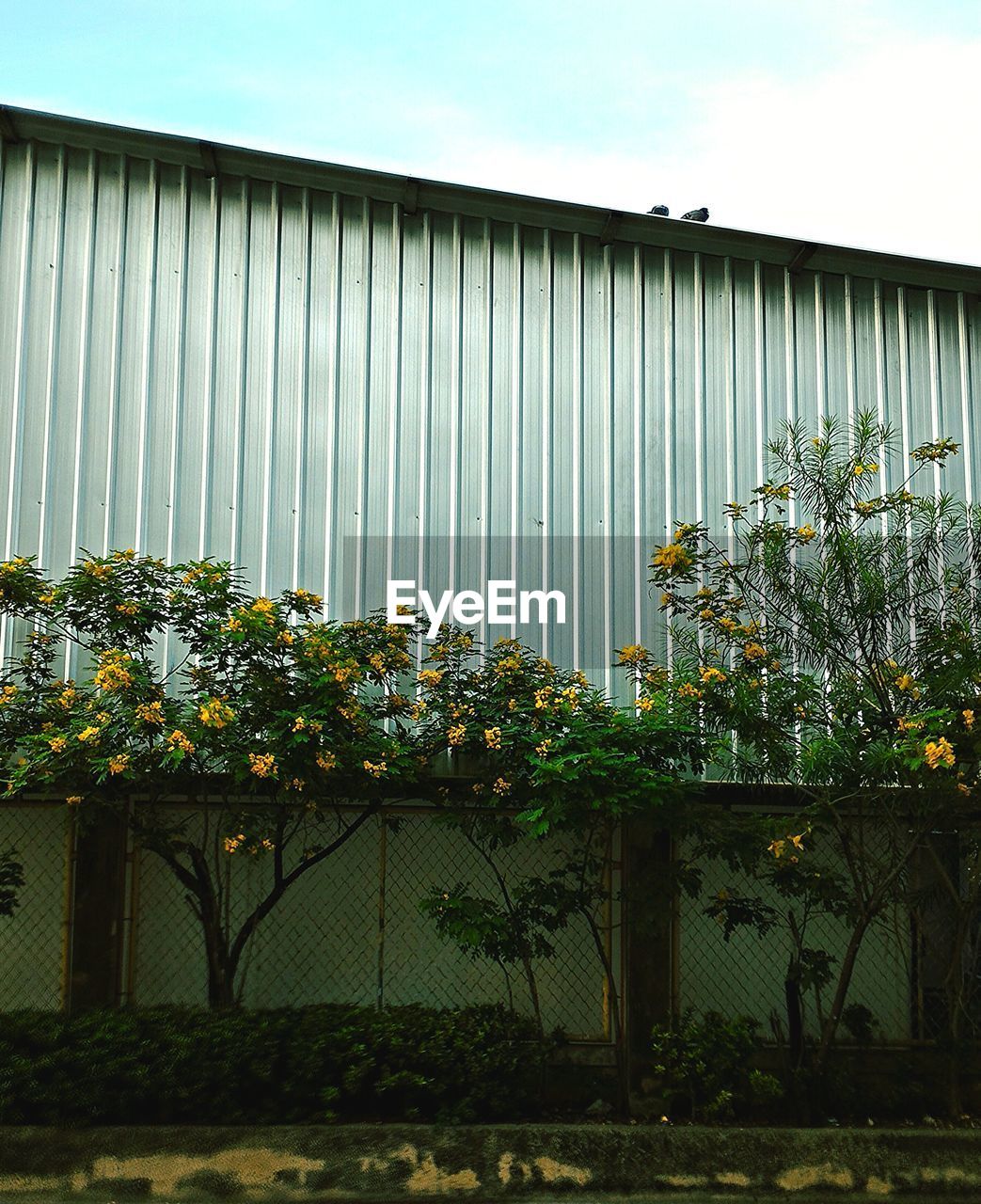 Trees by factory with chainlink fence against sky