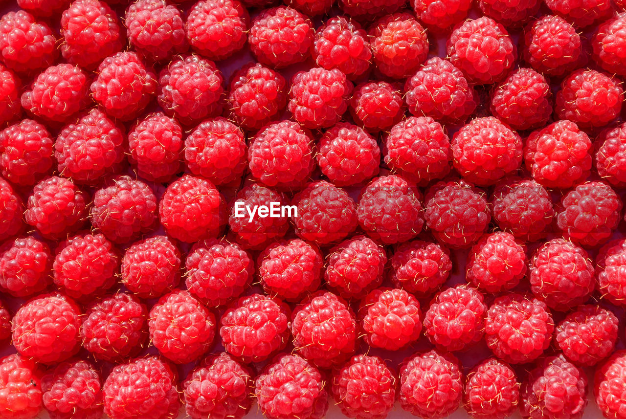 Lots of ripe raspberry, top view, background