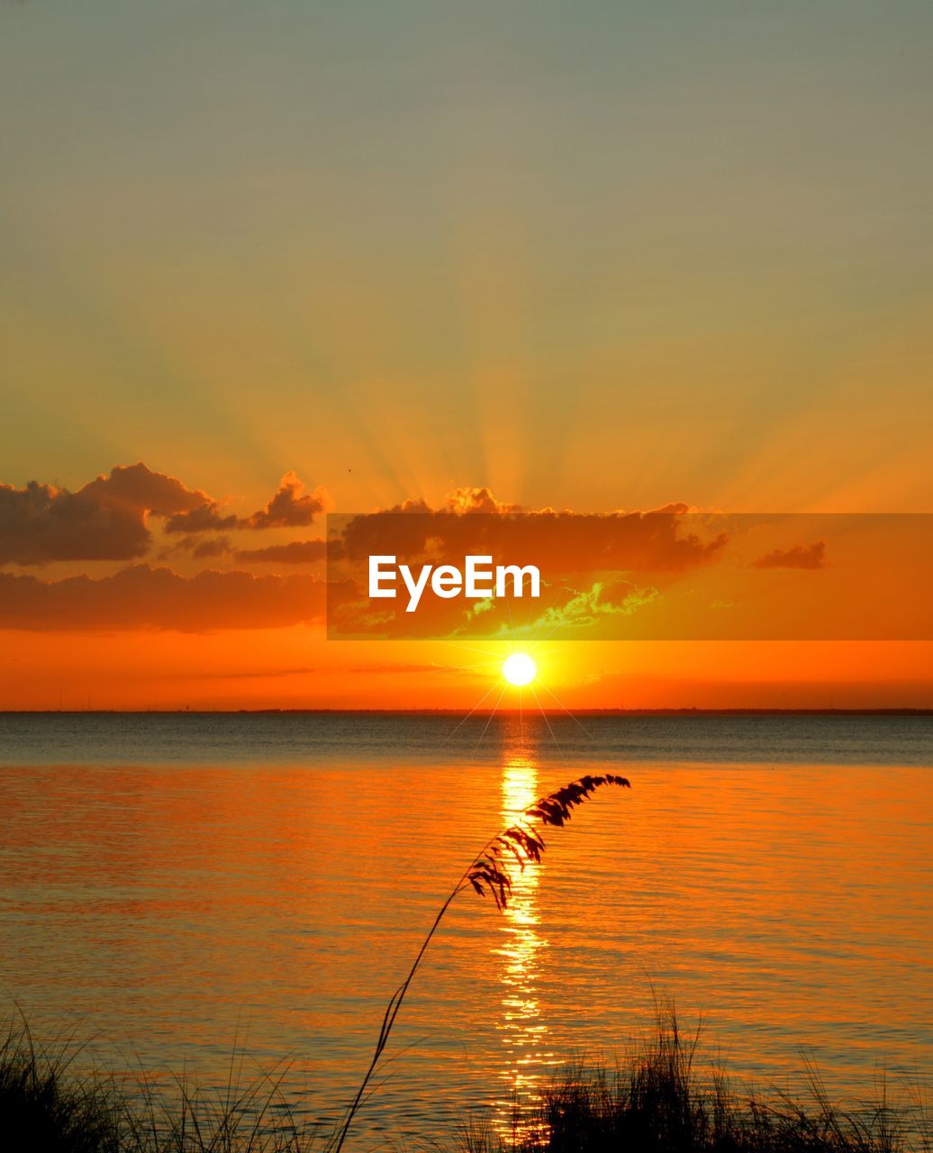 Scenic view of sea during sunset