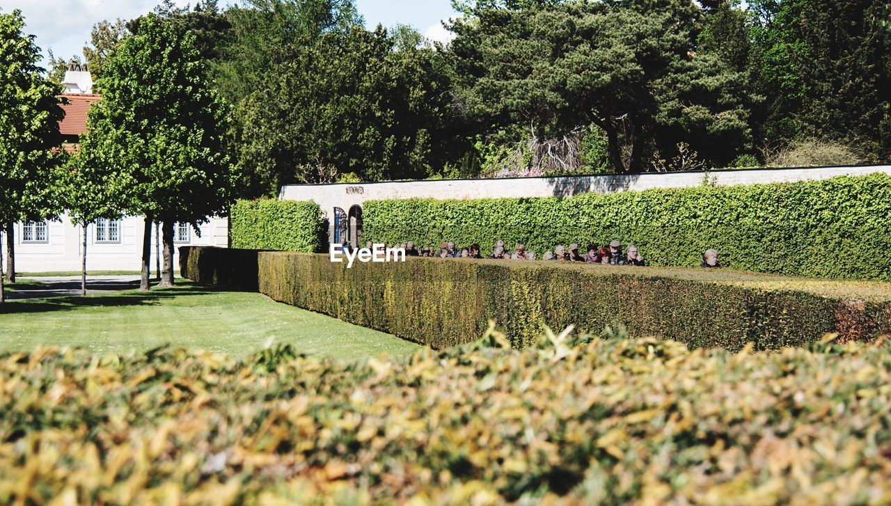 VIEW OF PEOPLE IN PARK AGAINST SKY