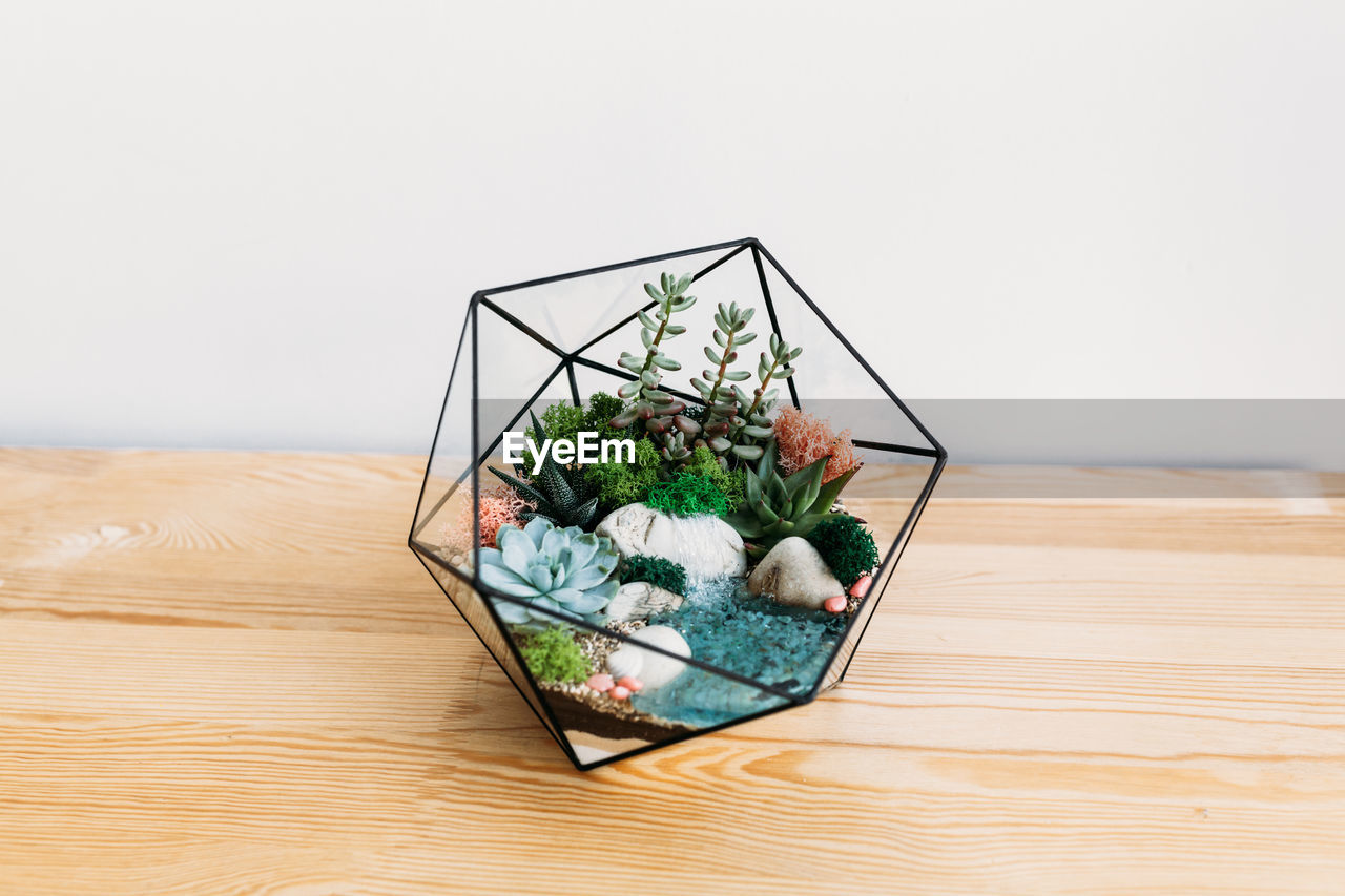 CLOSE-UP OF POTTED PLANT ON TABLE AGAINST WALL