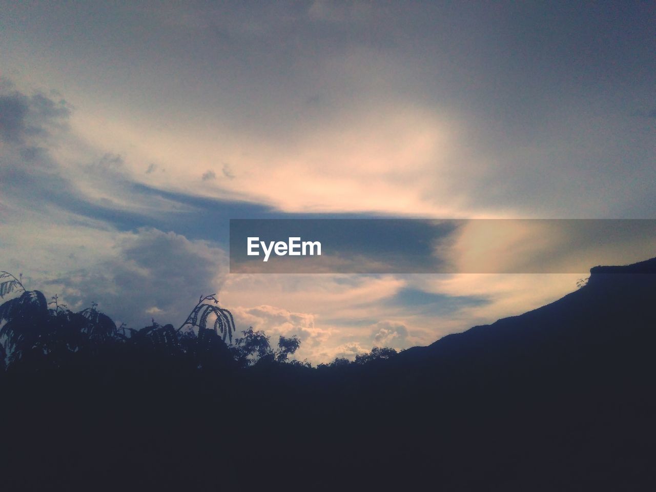 SILHOUETTE OF TREES AGAINST CLOUDY SKY AT SUNSET