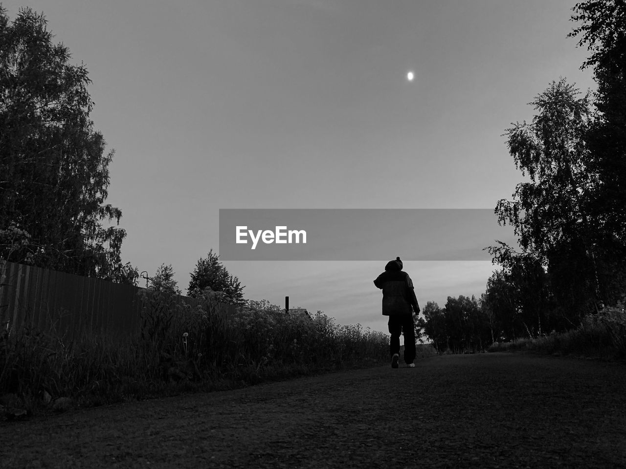 black, tree, plant, sky, darkness, moon, nature, transportation, monochrome, white, full length, one person, black and white, light, morning, leisure activity, lifestyles, night, bicycle, silhouette, monochrome photography, rear view, adult, men, sports, activity, outdoors, motion, riding, road, horizon