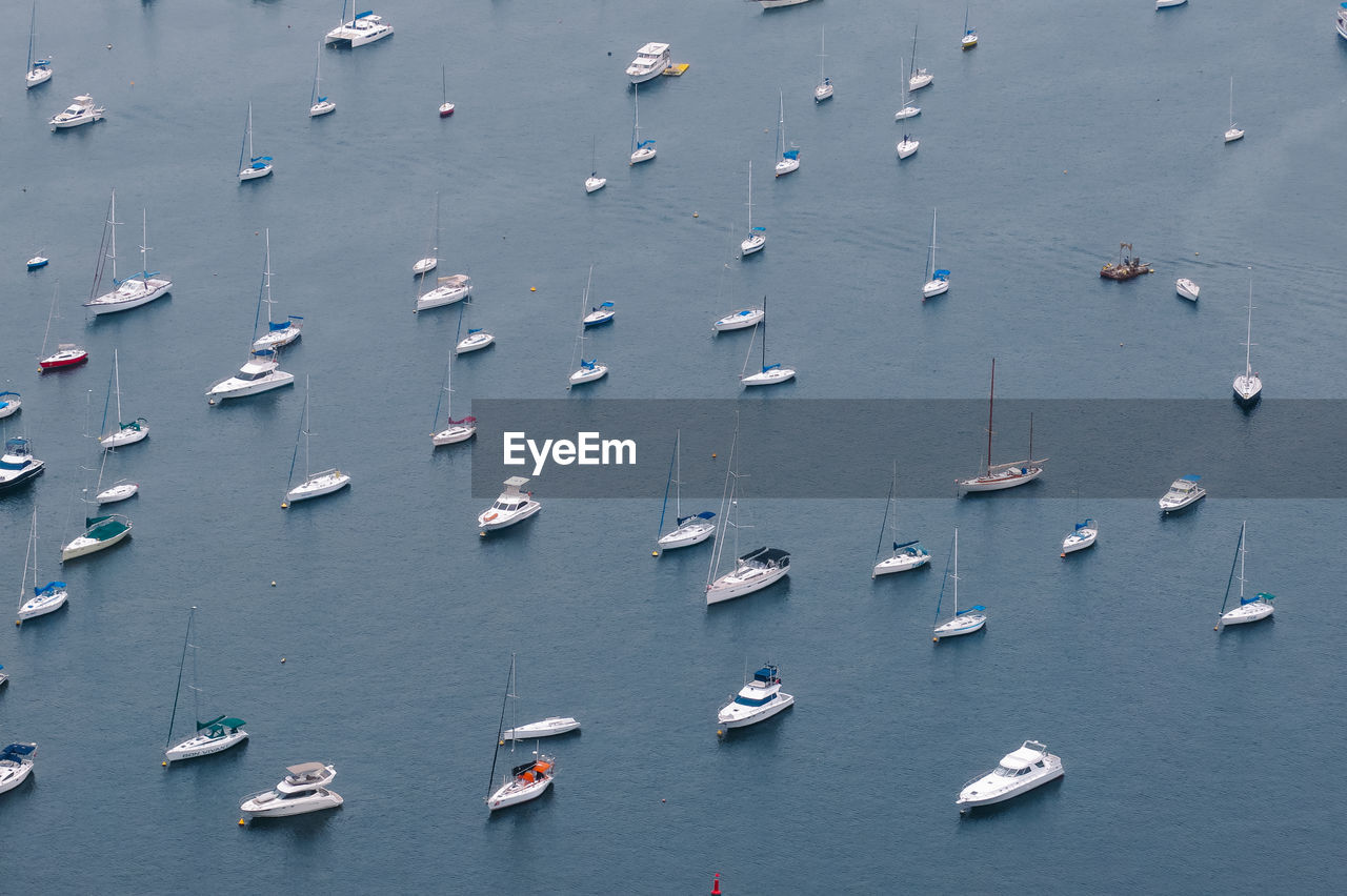 Aerial view of sailboats moored in sea