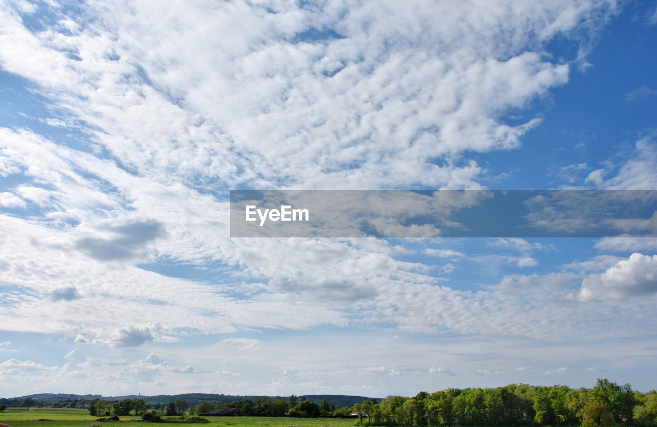 Low angle view of trees on land against sky