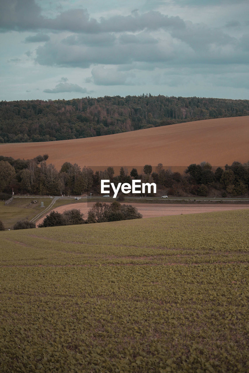 Scenic view of field against sky