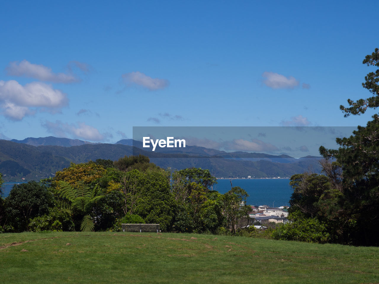 SCENIC VIEW OF TREES AND MOUNTAINS AGAINST SKY