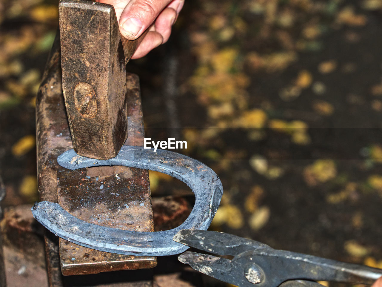 Skilled smith man striking a red hot horseshoe on anvil. traditional deformation of molten metal.