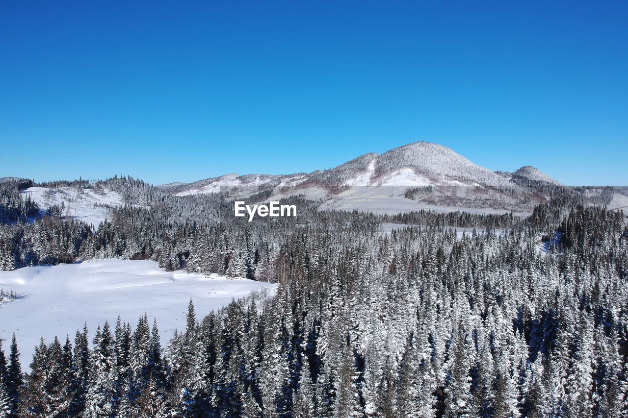 Scenic view of snowcapped mountains against clear blue sky