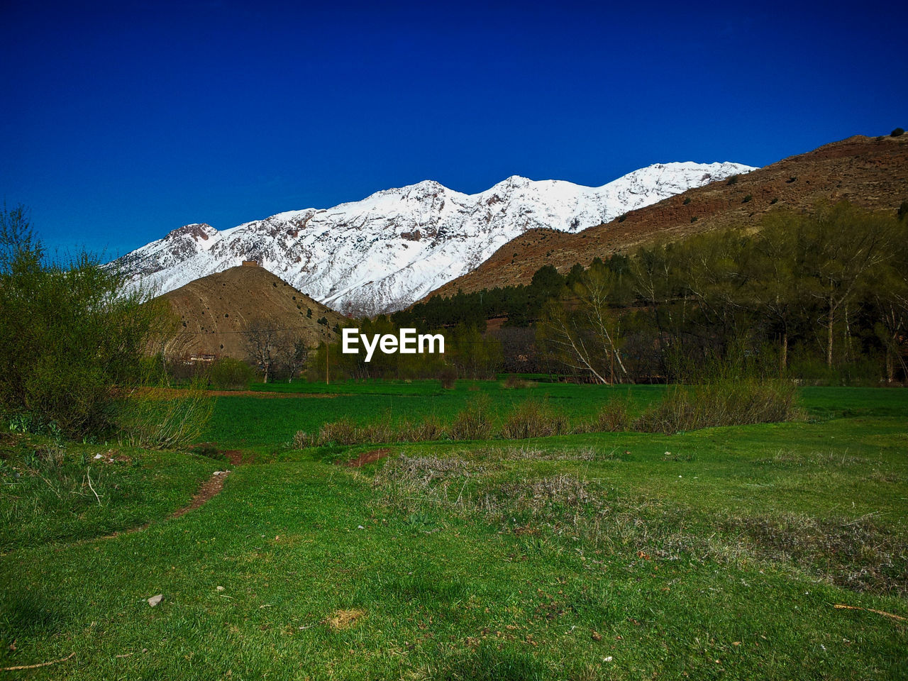 Scenic view of field against clear blue sky