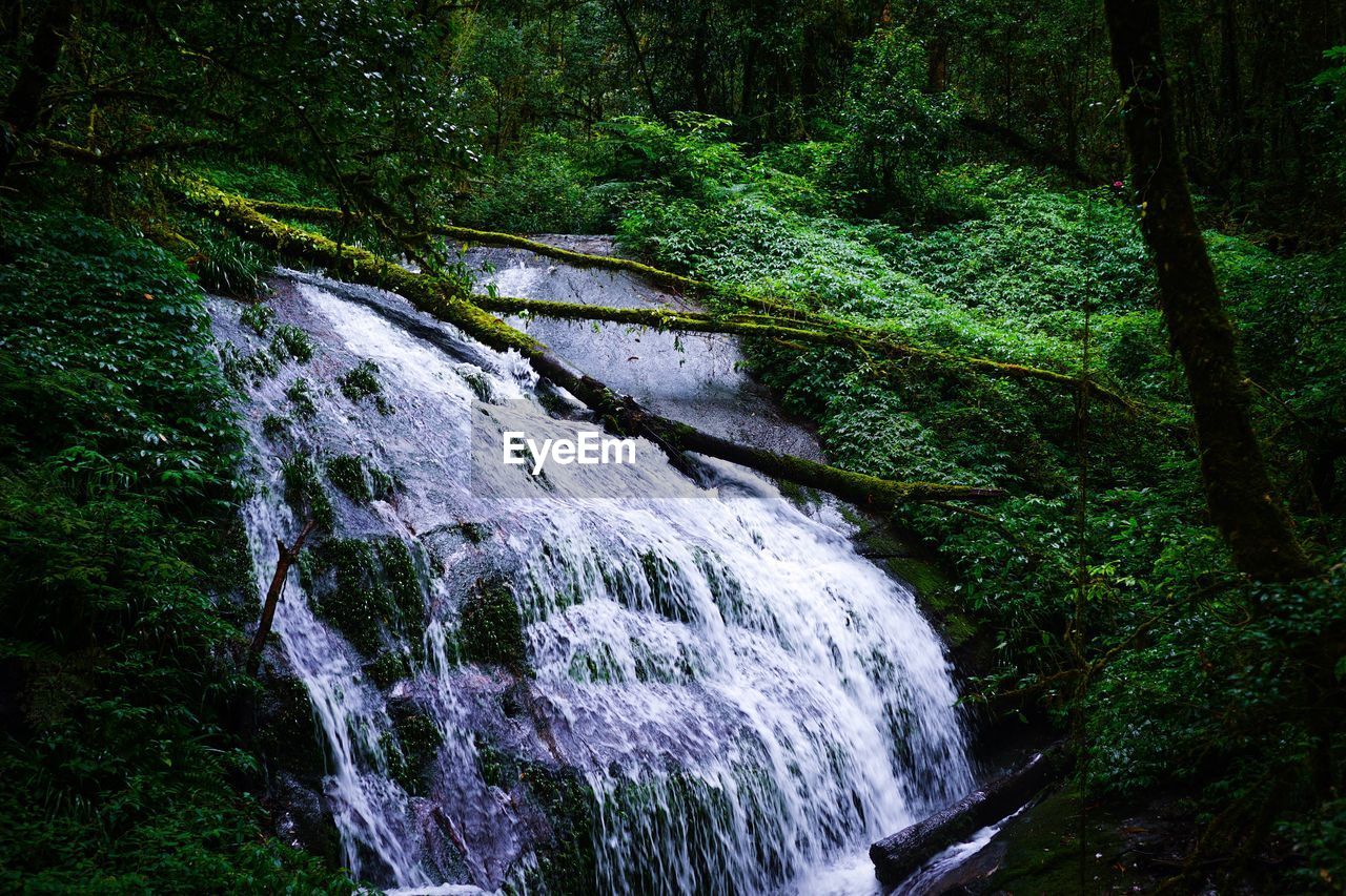 SCENIC VIEW OF WATERFALL