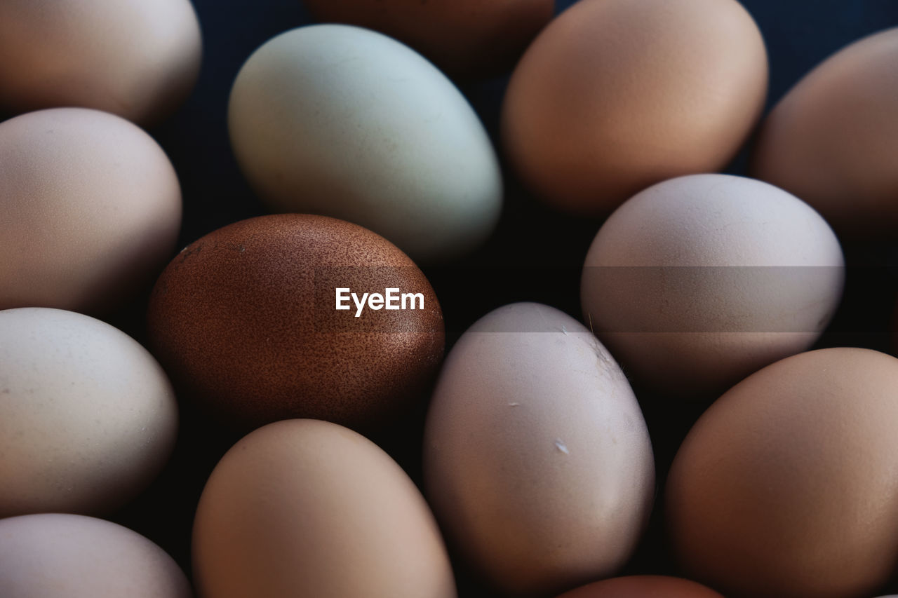 FULL FRAME SHOT OF EGGS IN CONTAINER