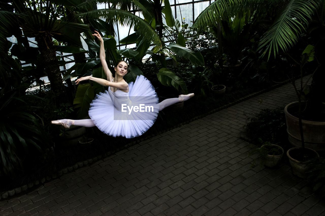 Ballet dancer dancing against trees at park