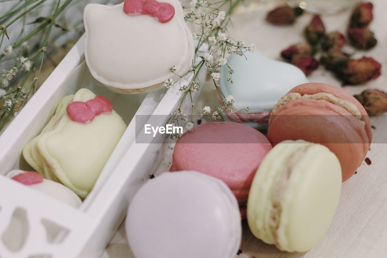 Close-up of multi colored macaroons and plants on table