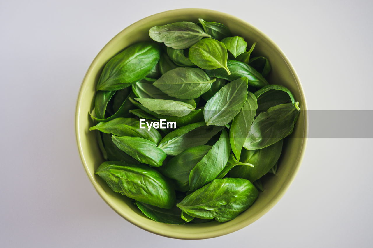 High angle view of basil in bowl