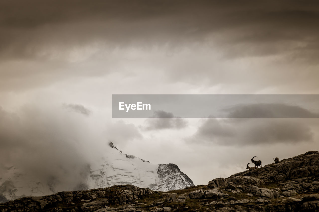 Facing mont blanc, the platé desert is mainly composed of lapiaz, carved out by glaciers.