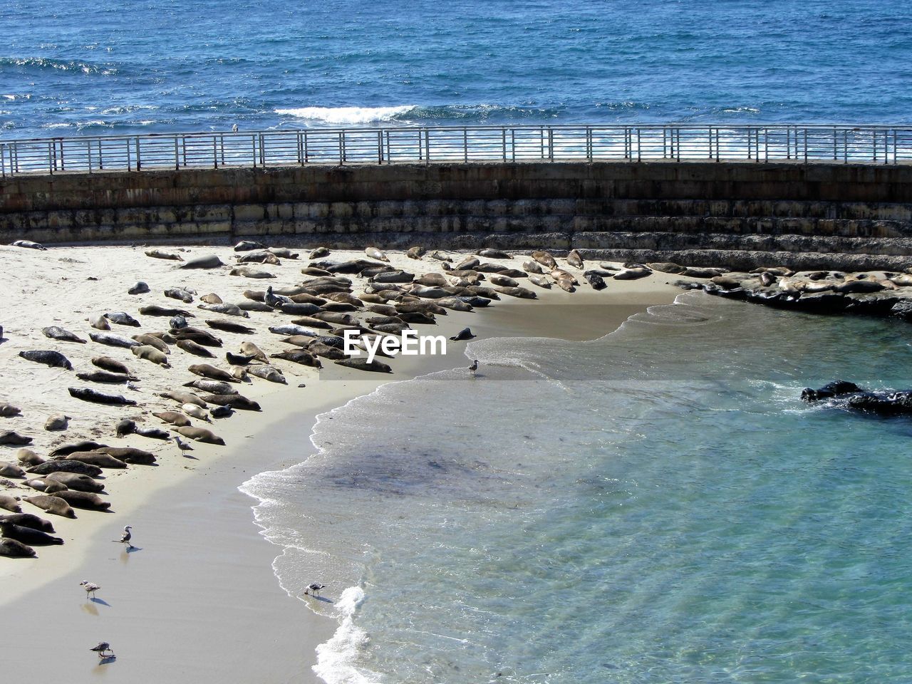 High angle view of sea shore at beach