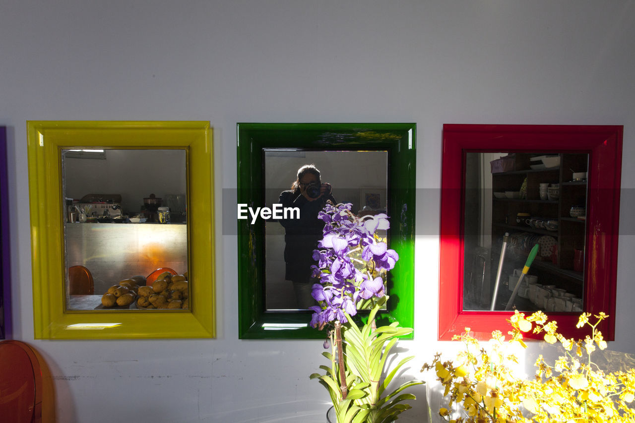 POTTED PLANTS ON THE WALL