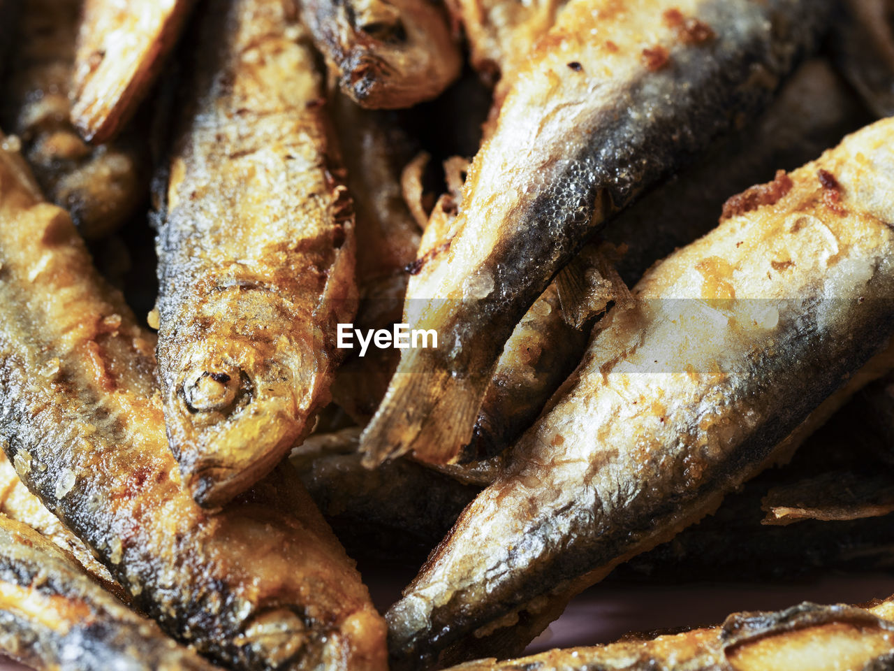 Fried herring on a plate