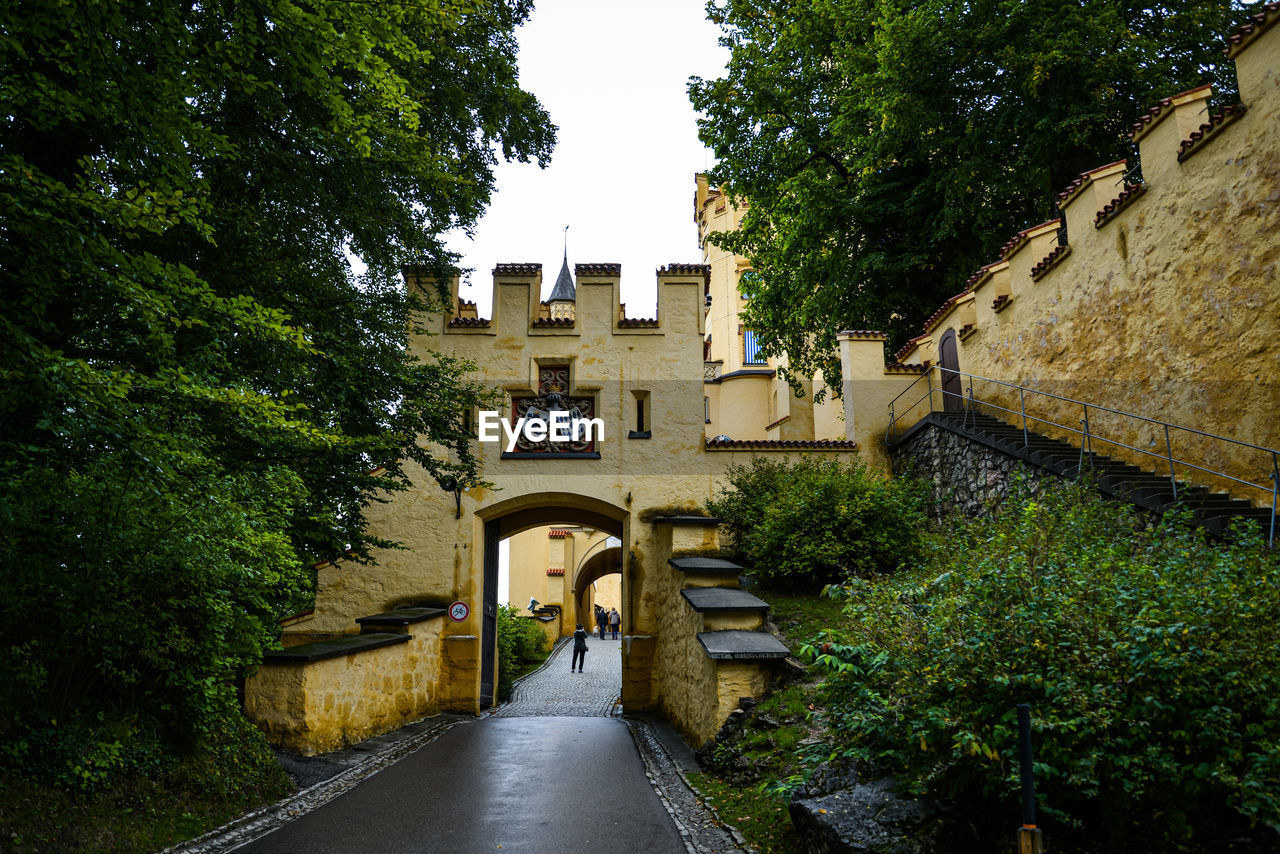 Footpath amidst trees and buildings against sky