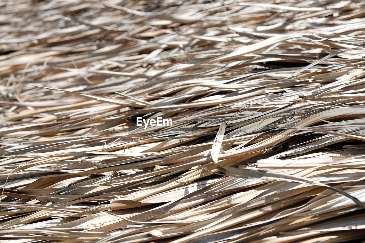 Detail of thatch straw roof background