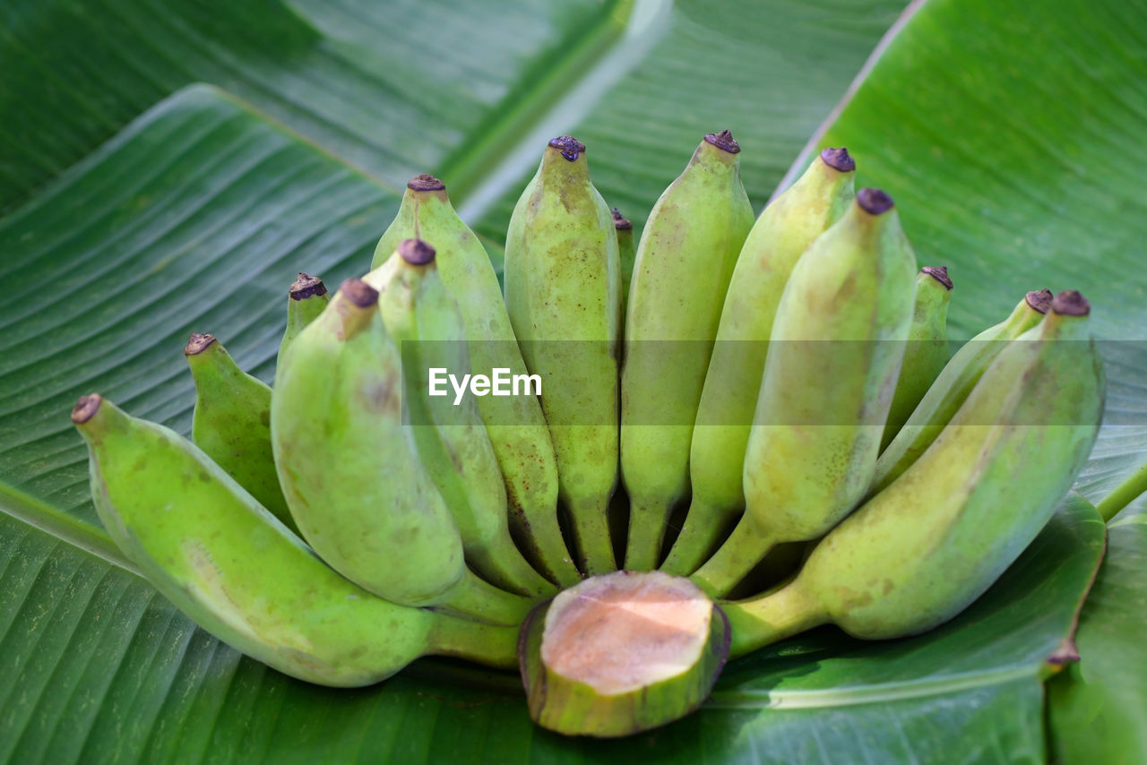 food and drink, food, green, healthy eating, freshness, plant, banana leaf, leaf, wellbeing, plant part, banana, cooking plantain, no people, fruit, flower, banana tree, tropical fruit, close-up, nature, leaves, produce, tropical climate, plant stem, group of objects