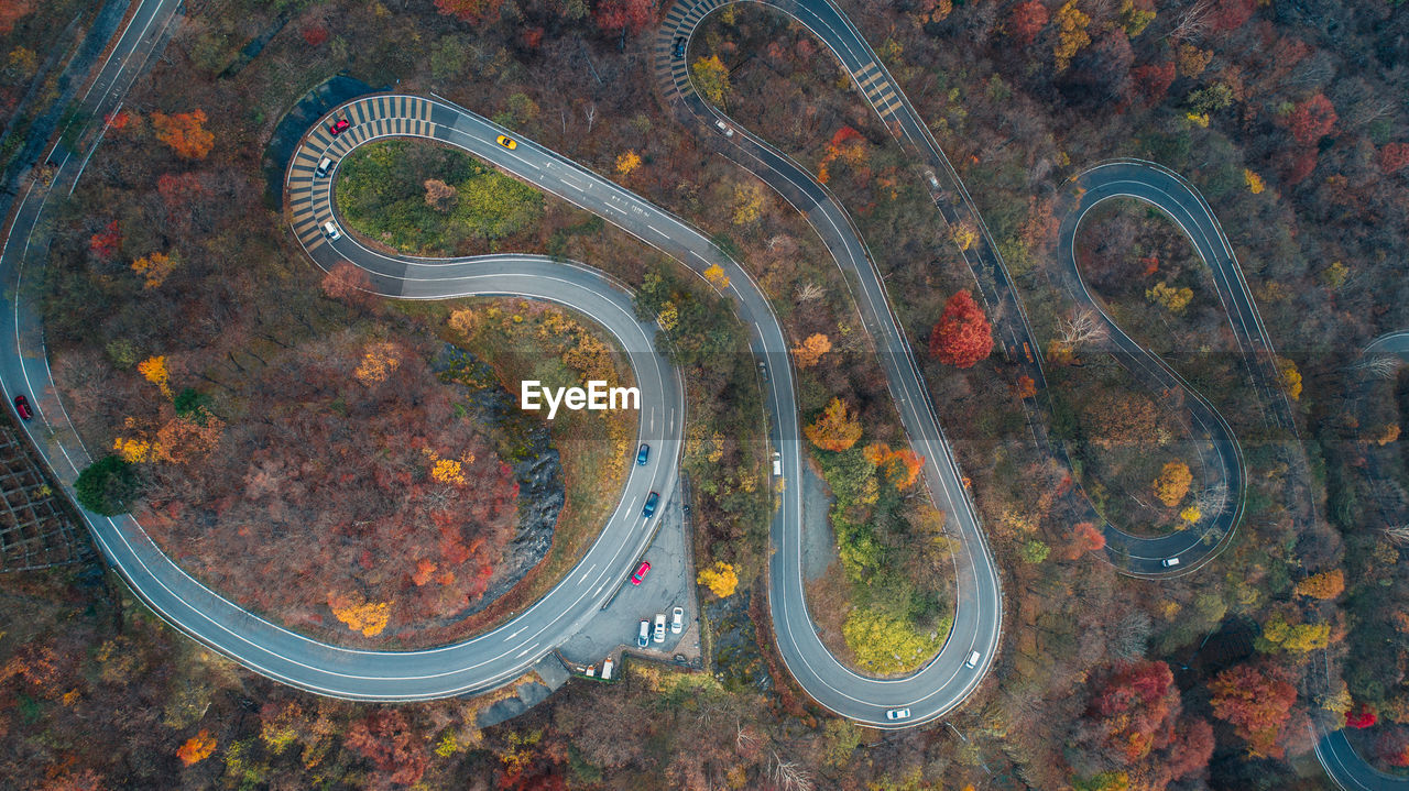 HIGH ANGLE VIEW OF ROAD AND TREES IN CITY