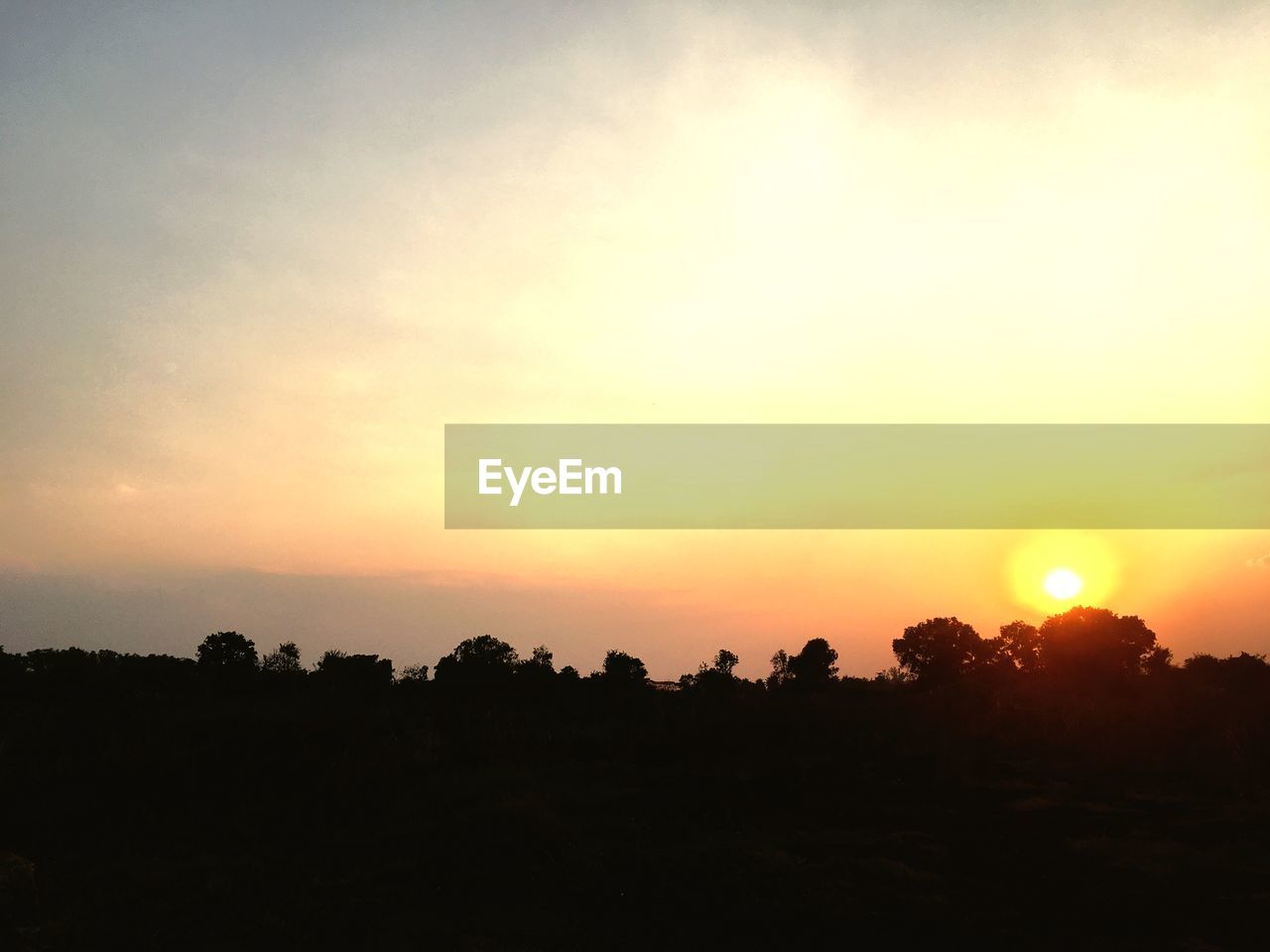 SILHOUETTE TREES ON LANDSCAPE AGAINST SKY AT SUNSET