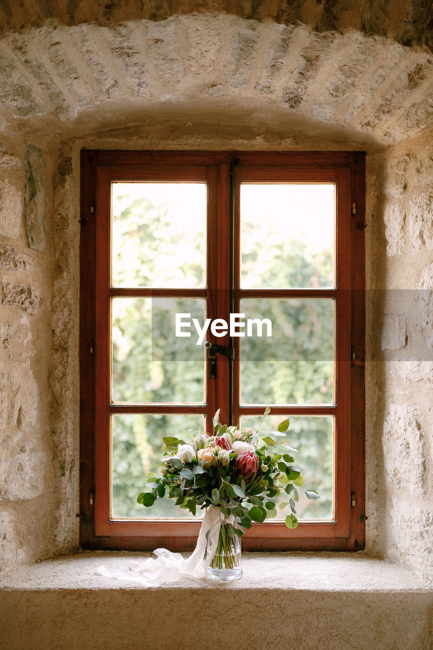 POTTED PLANT ON WINDOW SILL OF HOUSE