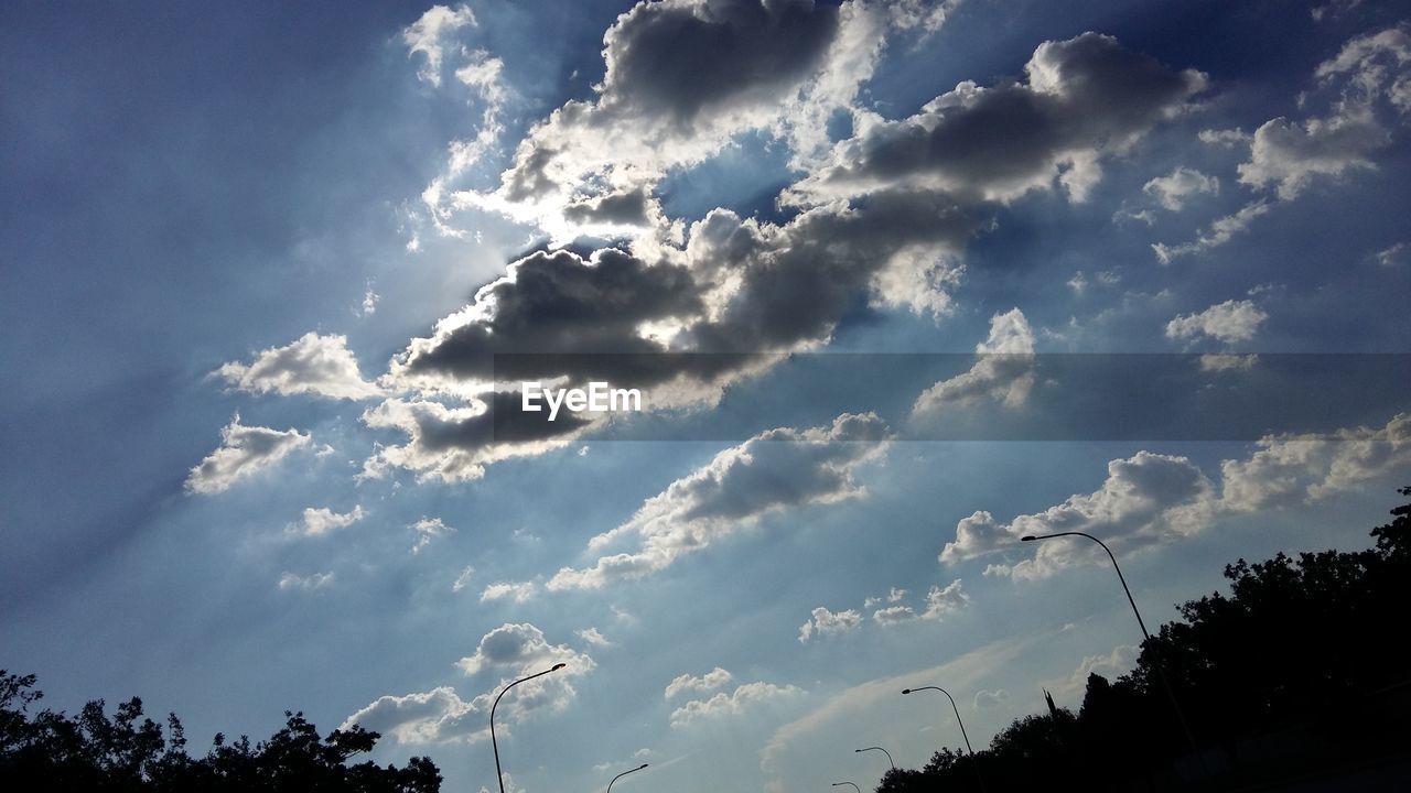 LOW ANGLE VIEW OF TREES AGAINST CLOUDY SKY