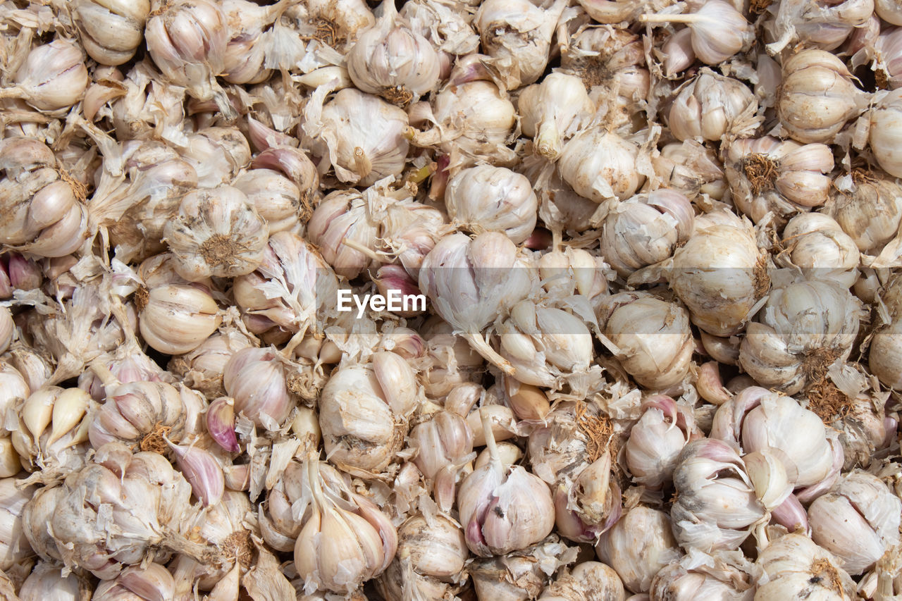 FULL FRAME SHOT OF ONIONS FOR SALE