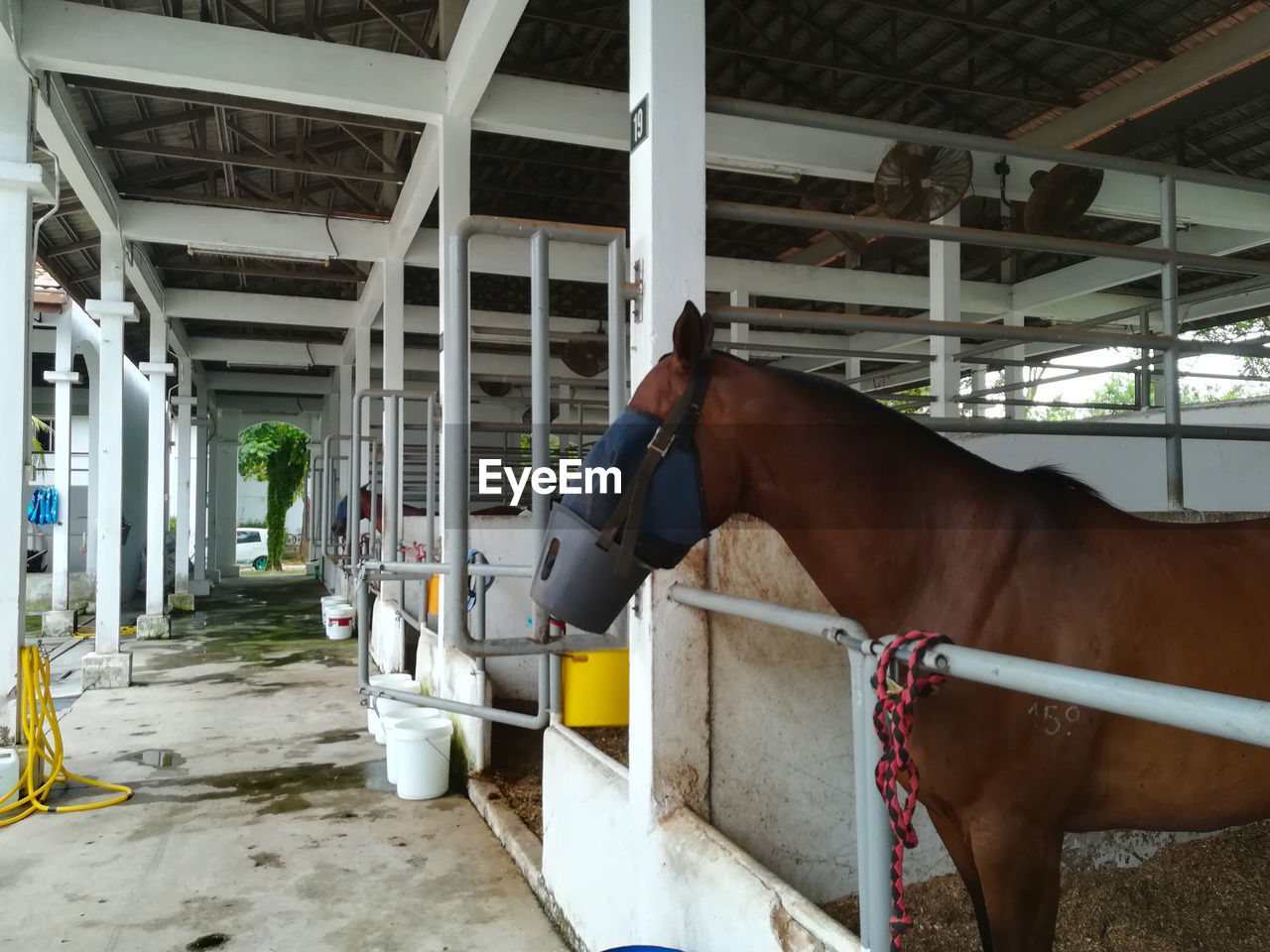 PEOPLE STANDING IN STABLE