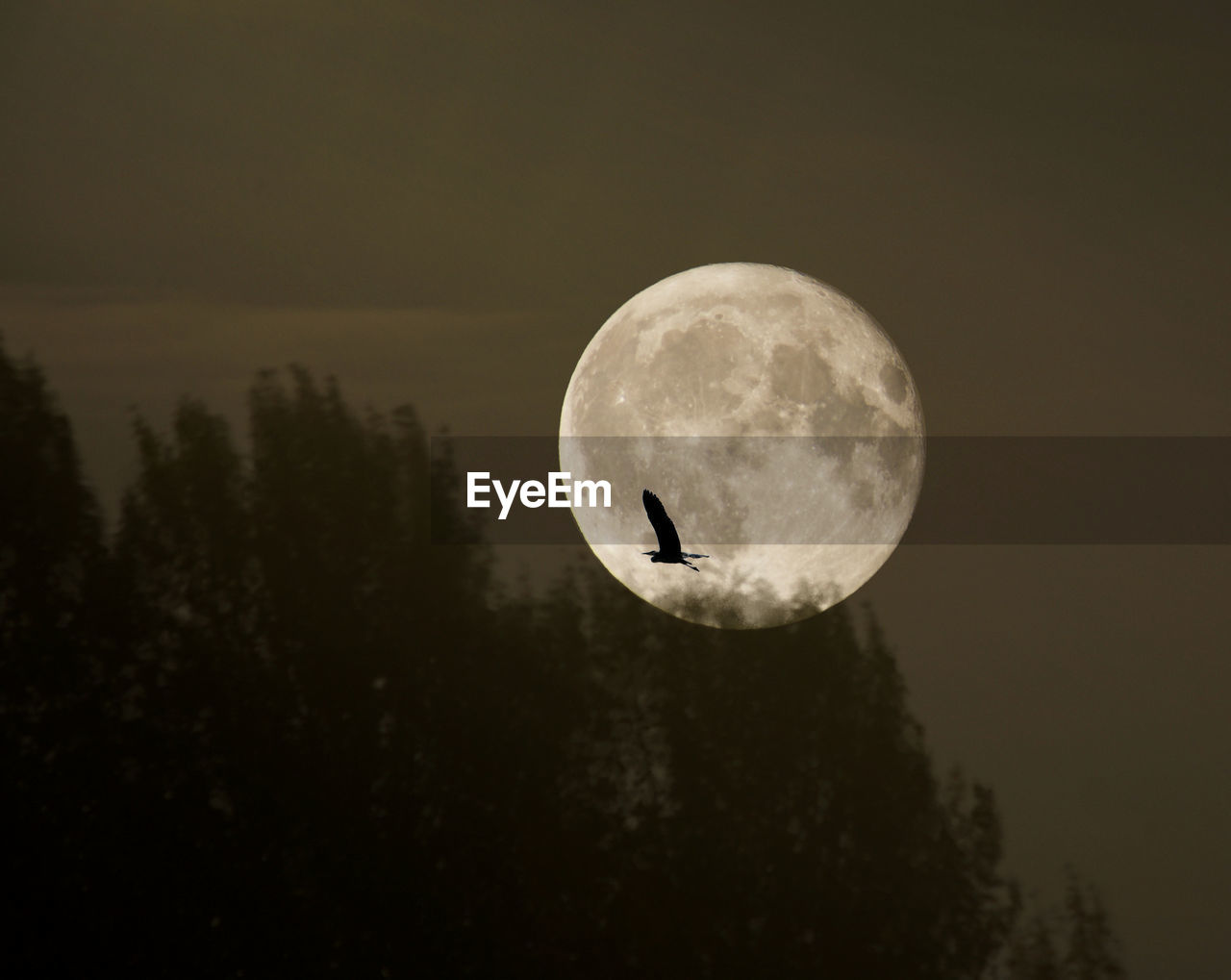 Scenic view of moon against sky at night