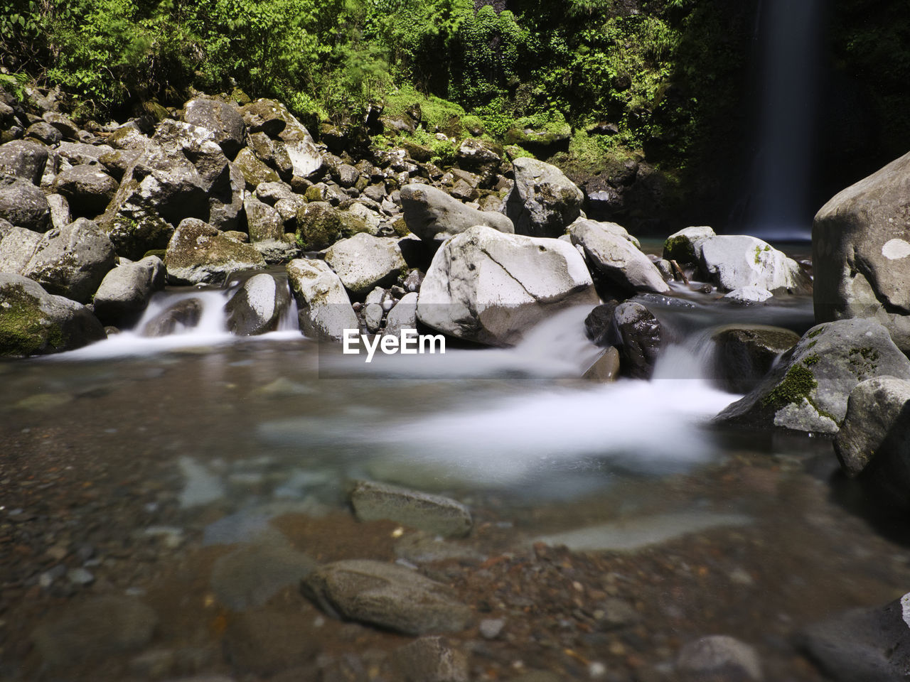 water, stream, rock, river, nature, body of water, rapid, tree, beauty in nature, plant, forest, stream bed, water feature, watercourse, scenics - nature, wilderness, creek, land, waterfall, motion, flowing water, environment, long exposure, no people, flowing, tranquility, outdoors, day, non-urban scene, tranquil scene, autumn, landscape, blurred motion, spring, leaf, stone, idyllic