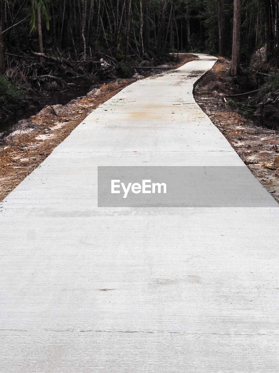 Empty road amidst trees in forest