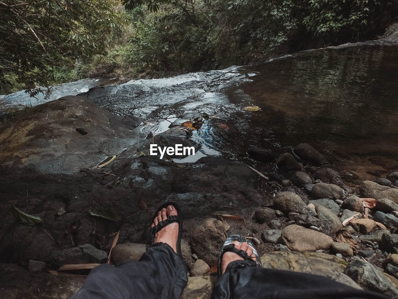 Low section of man sitting at riverbank in forest