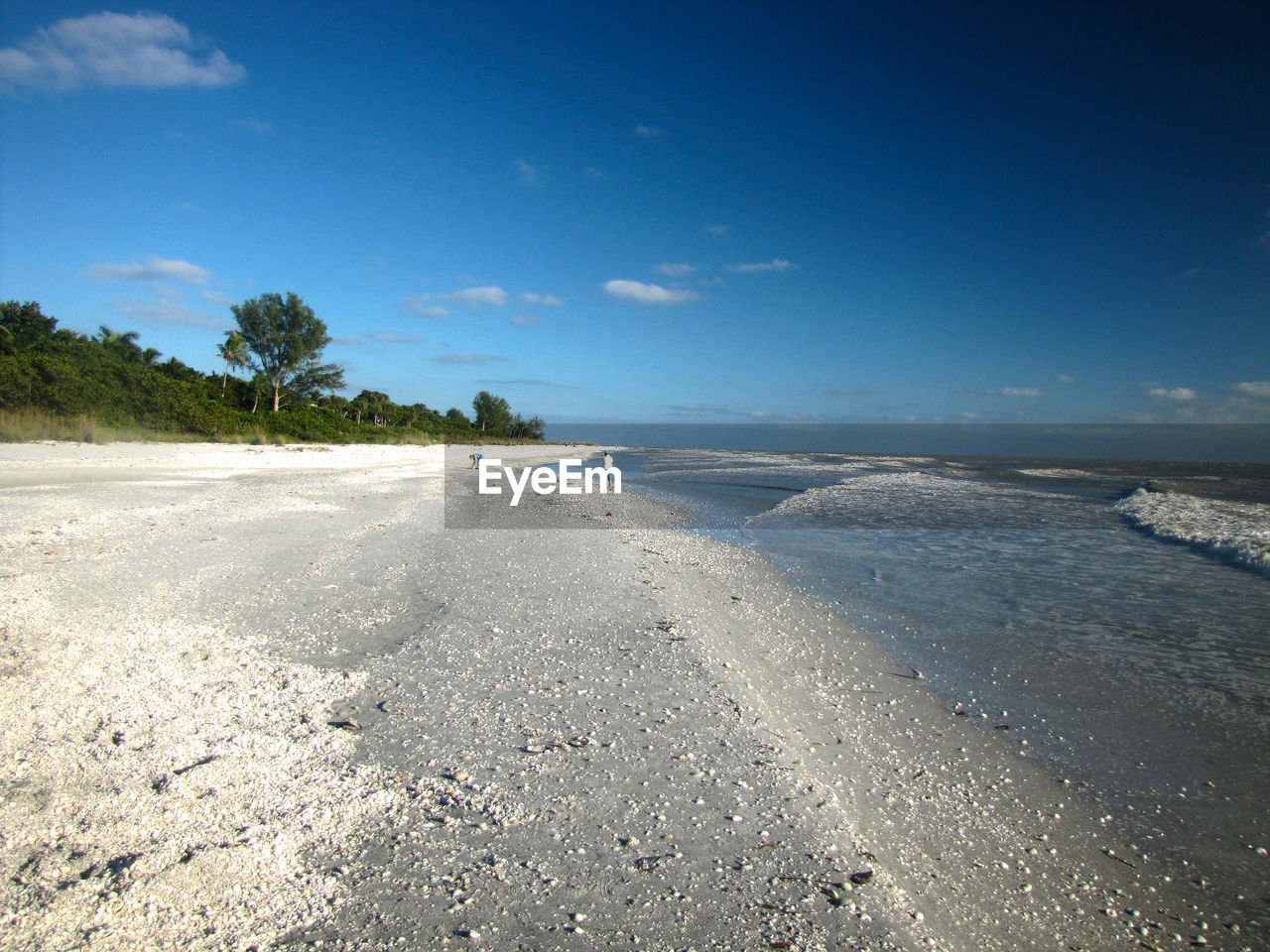 Scenic view of beach against blue sky