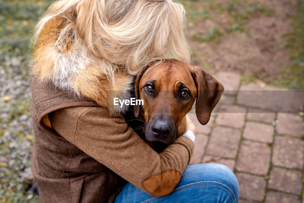 Rhodesian ridgeback in arms of blonde woman, looking over shoulder at camera, outdoor