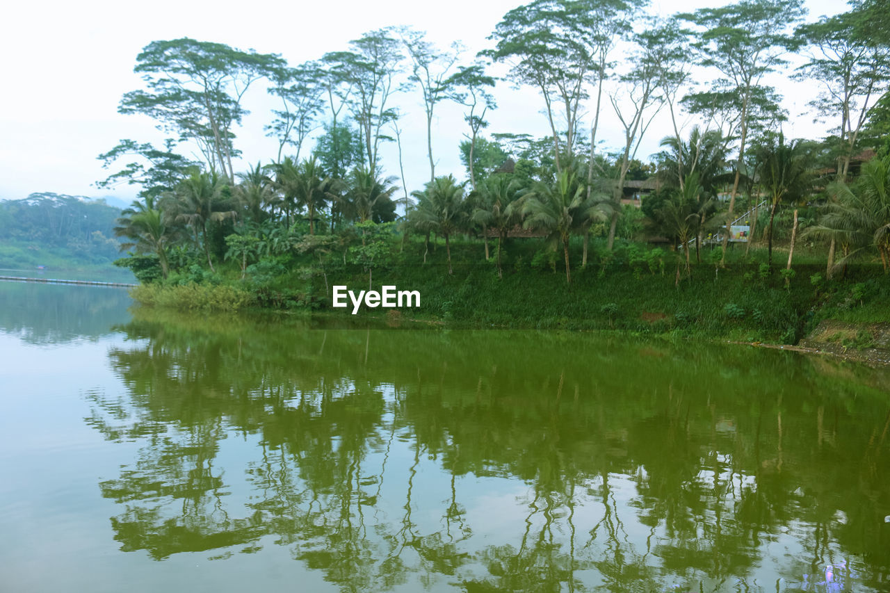 SCENIC VIEW OF LAKE AGAINST TREES