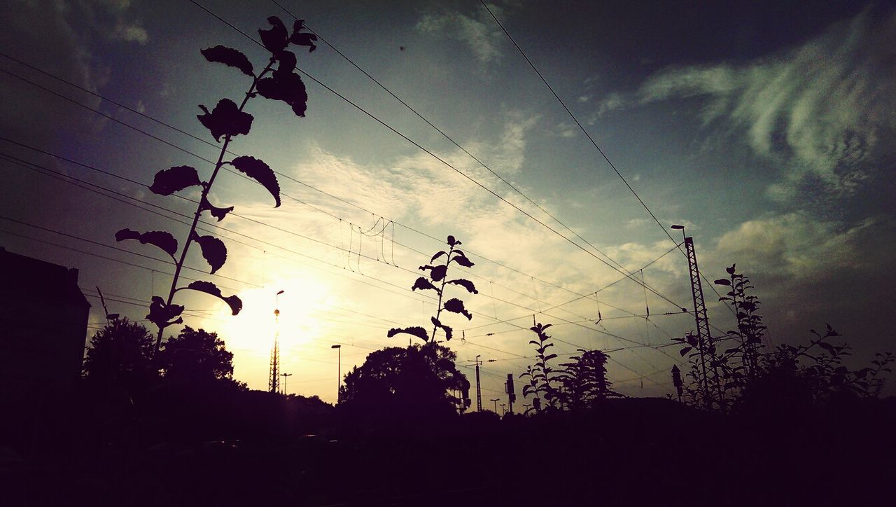 Low angle view of overhead power lines at dusk