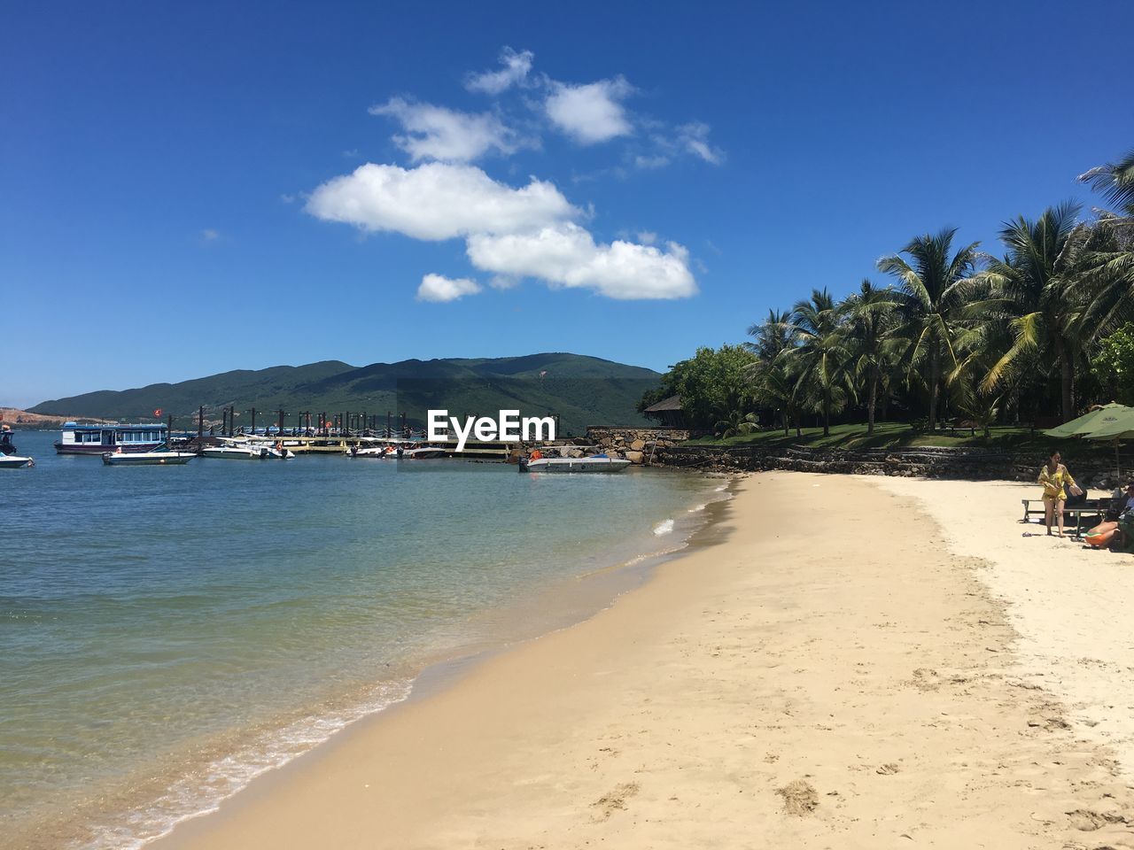 SCENIC VIEW OF BEACH AGAINST CLEAR SKY