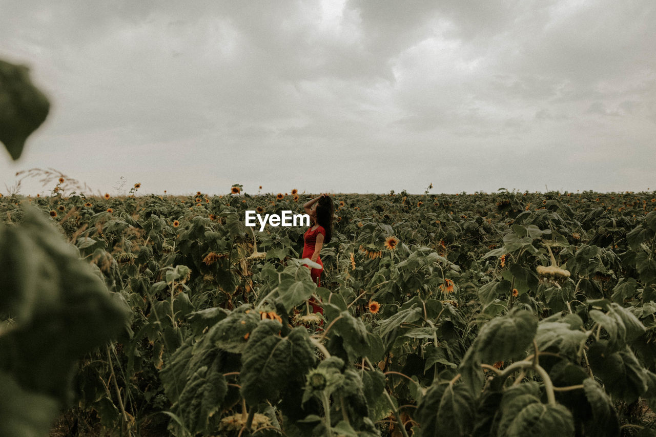 Young woman standing amidst sunflowers on field against sky