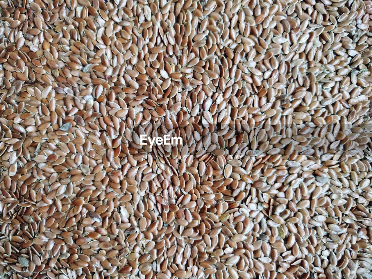 Full frame shot of seed